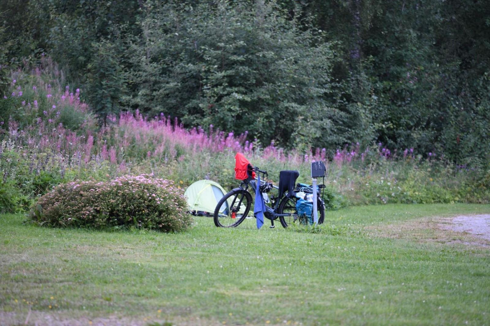 Haennilaensalmi Camping Viitasaari Eksteriør billede
